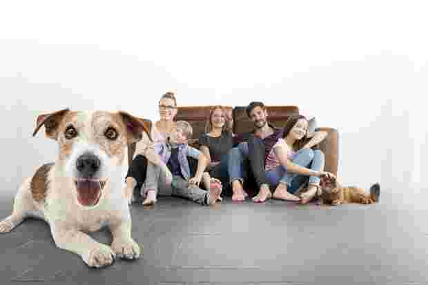 A group of five people, a dog and a cat sit on a dark tiled floor.