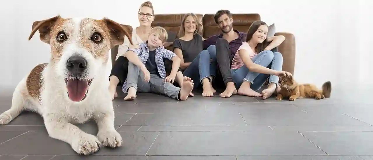 Eine Gruppe von fünf Menschen, einem Hund und einer Katze sitzen auf einem dunklen Fliesenboden. 