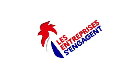les entreprises s'engagent, Schl&uuml;ter-Systems