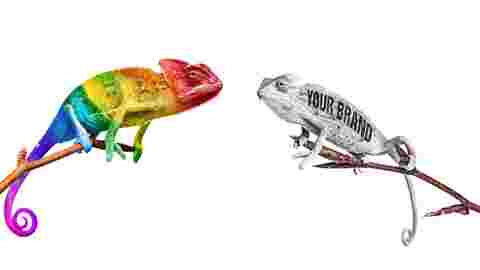 A chameleon in bright RAL colours and a chameleon with lettering on a branch