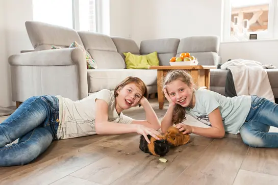 K&eacute;t kisl&aacute;ny fekszik a BEKOTEC-THERM rendszerrel fűt&ouml;tt padl&oacute;n.