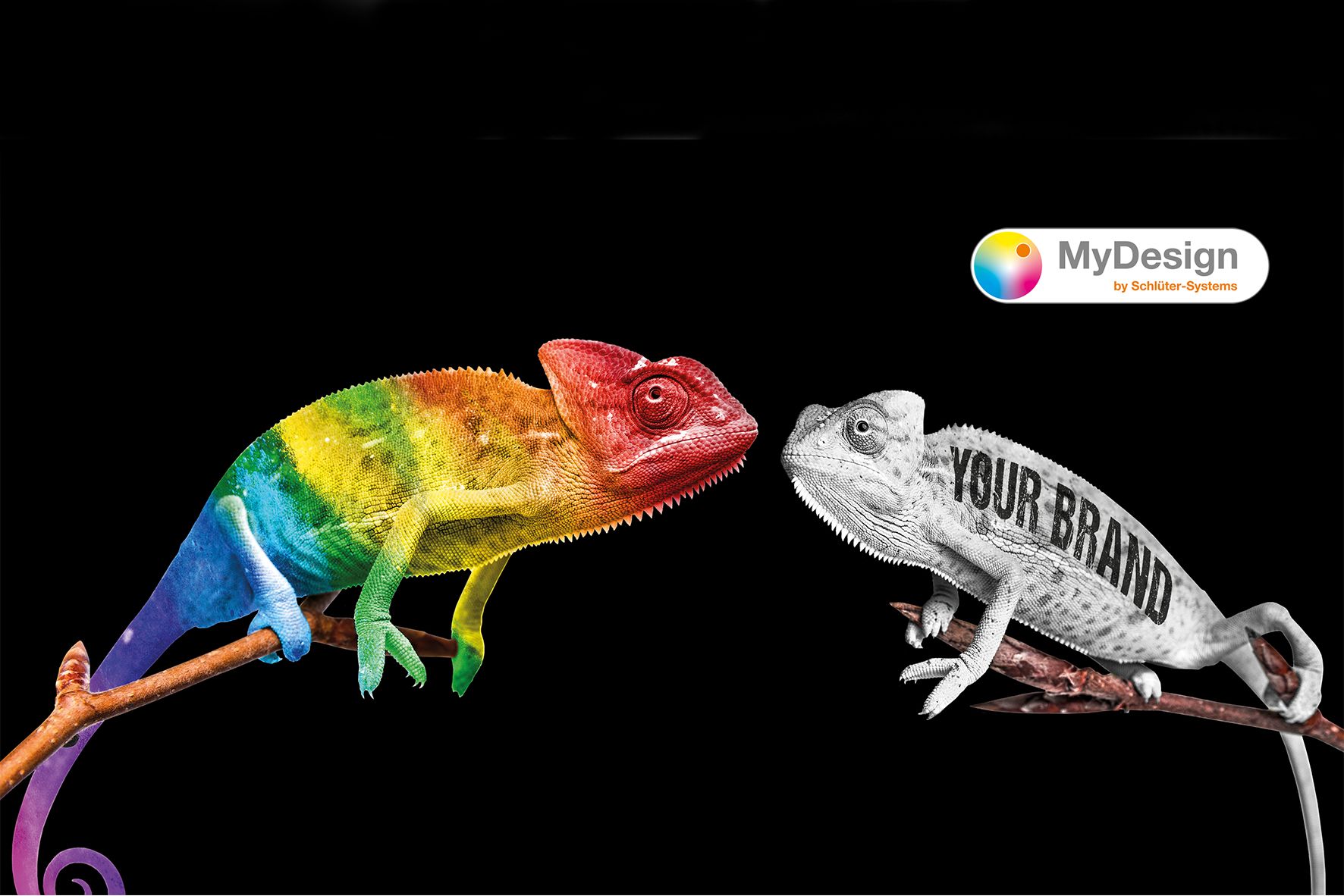 My Design Bild